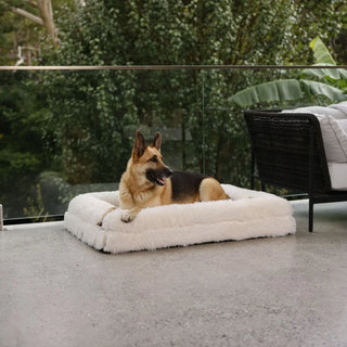 Cover - Quick Shag Cream Quick Cover: Shag