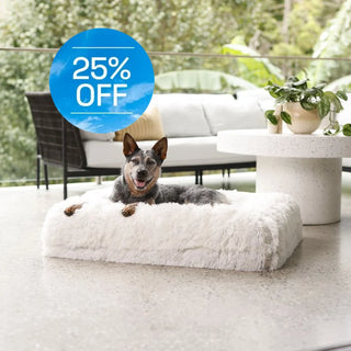 Cover - Quick Shag Cream Quick Cover: Shag