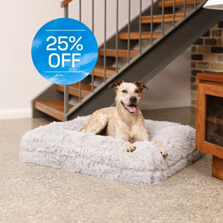 Cover - Quick Shag Grey Quick Cover: Shag