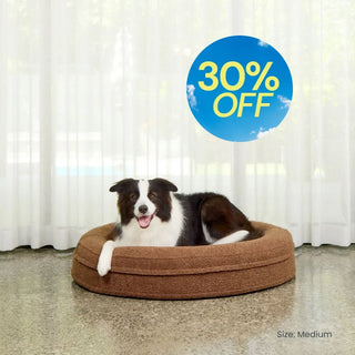 Round Memory Foam Dog Bed - Bouclé Cocoa Bouclé