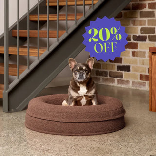Round Memory Foam Dog Bed - Bouclé Cocoa Bouclé
