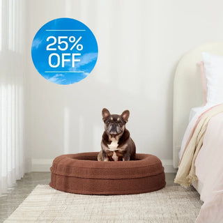 Round Memory Foam Dog Bed - Bouclé Cocoa Bouclé