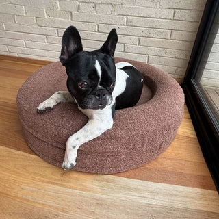 Round Memory Foam Dog Bed - Bouclé Cocoa Bouclé