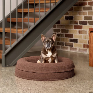 Round Memory Foam Dog Bed - Bouclé Cocoa Bouclé