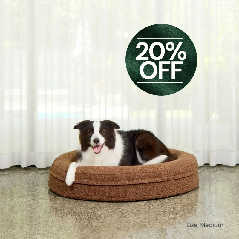 Round Memory Foam Dog Bed - Bouclé Cocoa Bouclé