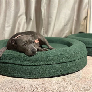 Round Memory Foam Dog Bed - Bouclé Forest Green Bouclé