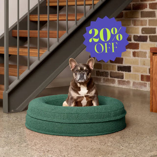 Round Memory Foam Dog Bed - Bouclé Forest Green Bouclé