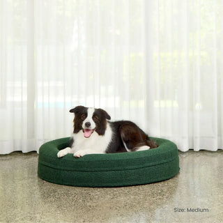 Round Memory Foam Dog Bed - Bouclé Forest Green Bouclé