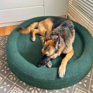 Round Memory Foam Dog Bed - Bouclé Forest Green Bouclé