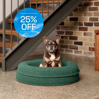 Round Memory Foam Dog Bed - Bouclé Forest Green Bouclé