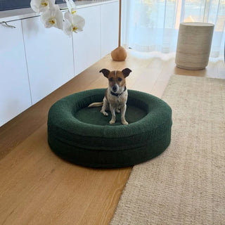 Round Memory Foam Dog Bed - Bouclé Forest Green Bouclé