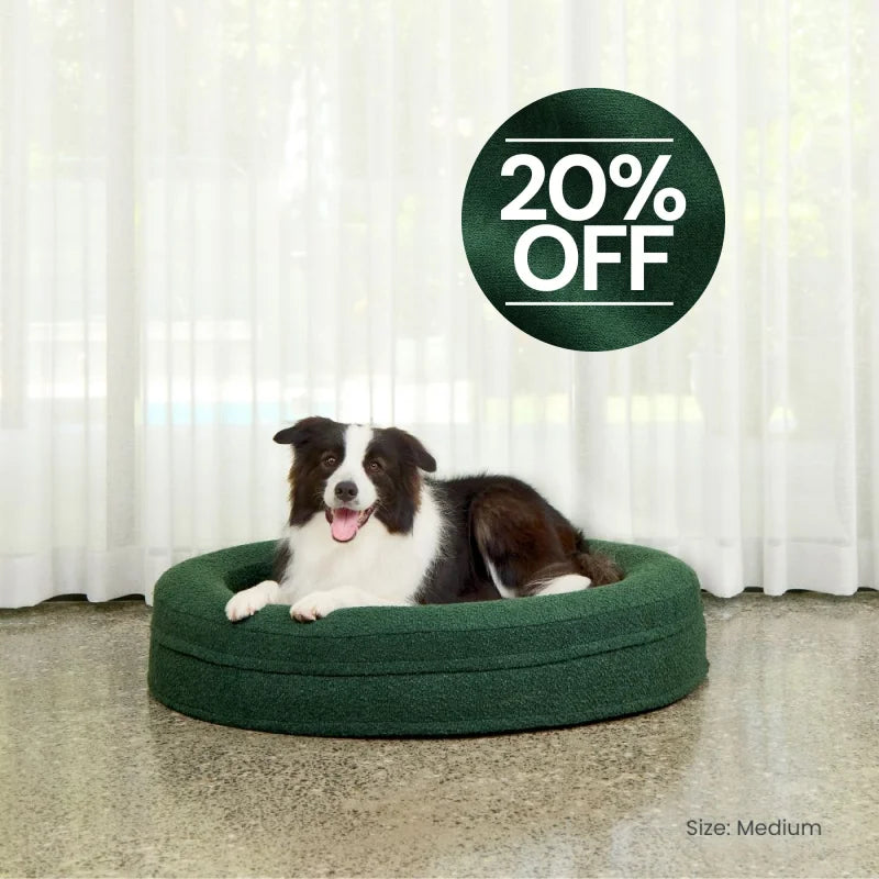 Round Memory Foam Dog Bed - Bouclé Forest Green Bouclé
