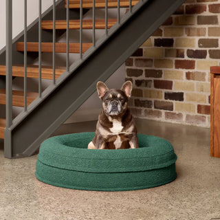Round Memory Foam Dog Bed - Bouclé Forest Green Bouclé