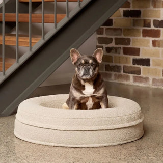 Round Memory Foam Dog Bed - Bouclé Ivory - Bouclé