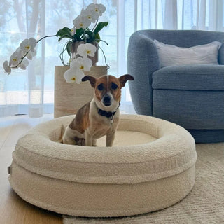 Round Memory Foam Dog Bed - Bouclé Ivory Bouclé