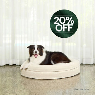 Round Memory Foam Dog Bed - Bouclé Ivory Bouclé