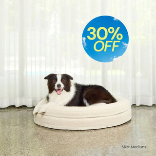 Round Memory Foam Dog Bed - Bouclé Ivory Bouclé
