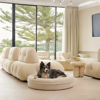 Round Memory Foam Dog Bed - Bouclé Ivory Bouclé