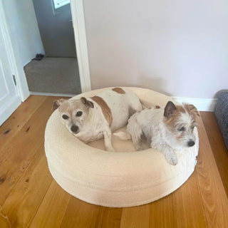 Round Memory Foam Dog Bed - Bouclé Ivory Bouclé