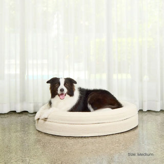 Round Memory Foam Dog Bed - Bouclé Ivory Bouclé