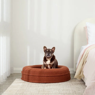 Round Memory Foam Dog Bed - Bouclé Terracotta Bouclé