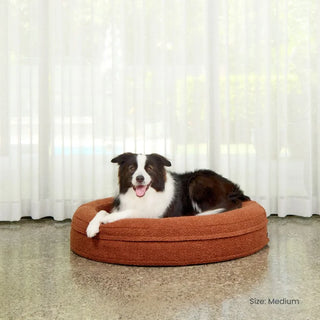 Round Memory Foam Dog Bed - Bouclé Terracotta Bouclé