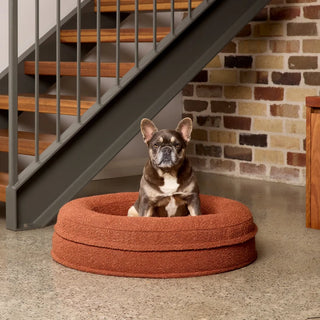 Round Memory Foam Dog Bed - Bouclé Terracotta Bouclé