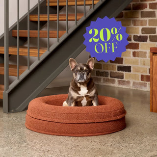 Round Memory Foam Dog Bed - Bouclé Terracotta Bouclé
