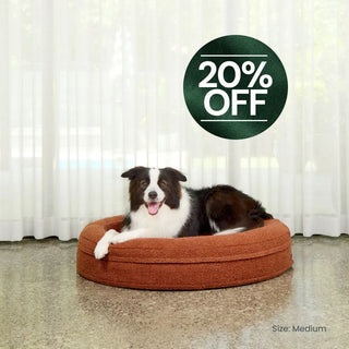 Round Memory Foam Dog Bed - Bouclé Terracotta Bouclé