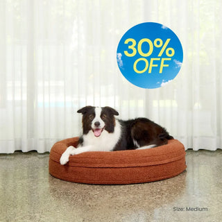 Round Memory Foam Dog Bed - Bouclé Terracotta Bouclé
