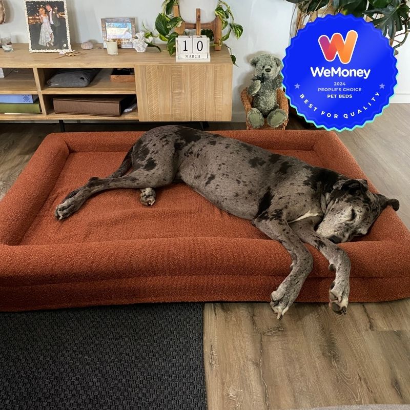 Extra large covered dog bed hot sale