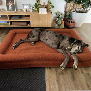 Extra Large Bed, Spare Zipper Cover & Quick Cover Bundle