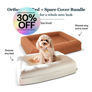 Small Bed with Extra Cover Bundle Bundle