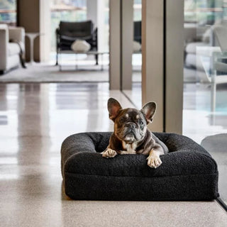 Small Bed with Extra Cover Bundle Bundle