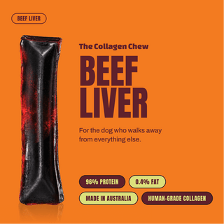 Bolta Collagen Chew Stick