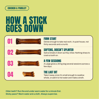 Bolta Collagen Chew Stick