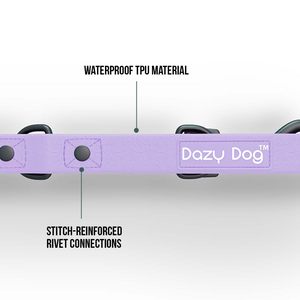 z Dazy Dog Dog Leash Purple Small-Medium